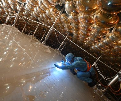 The central acrylic sphere and PMTs