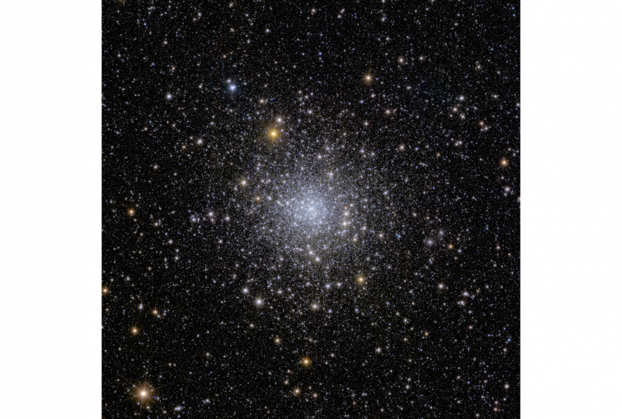 Euclid view of globular cluster NGC 6397