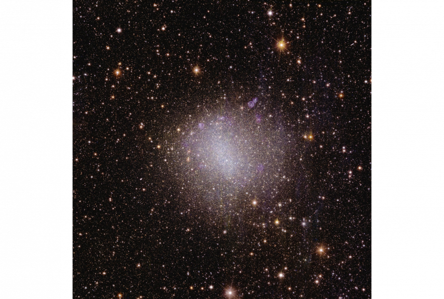 Euclid’s view of irregular galaxy NGC 6822