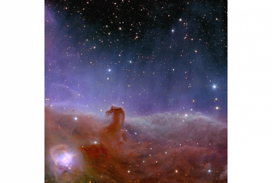 Euclid’s view of the Horsehead Nebula