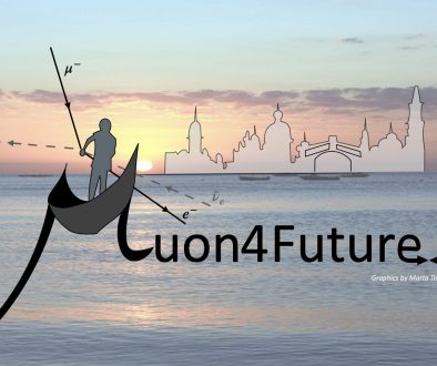 Muon4Future