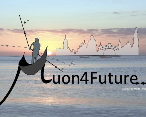 Muon4Future