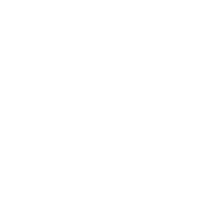 INFN LNL logo
