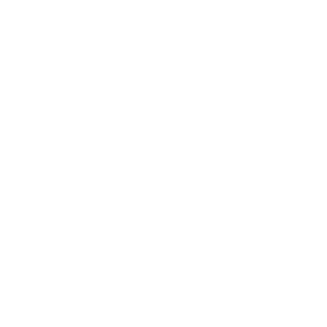 Polidoro logo