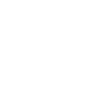 Polo Meccatronica logo