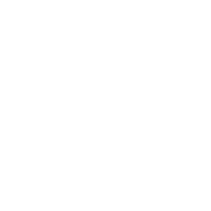 Università degli studi di Padova logo