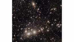 Perseus cluster of galaxies