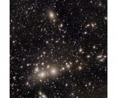 Perseus cluster of galaxies
