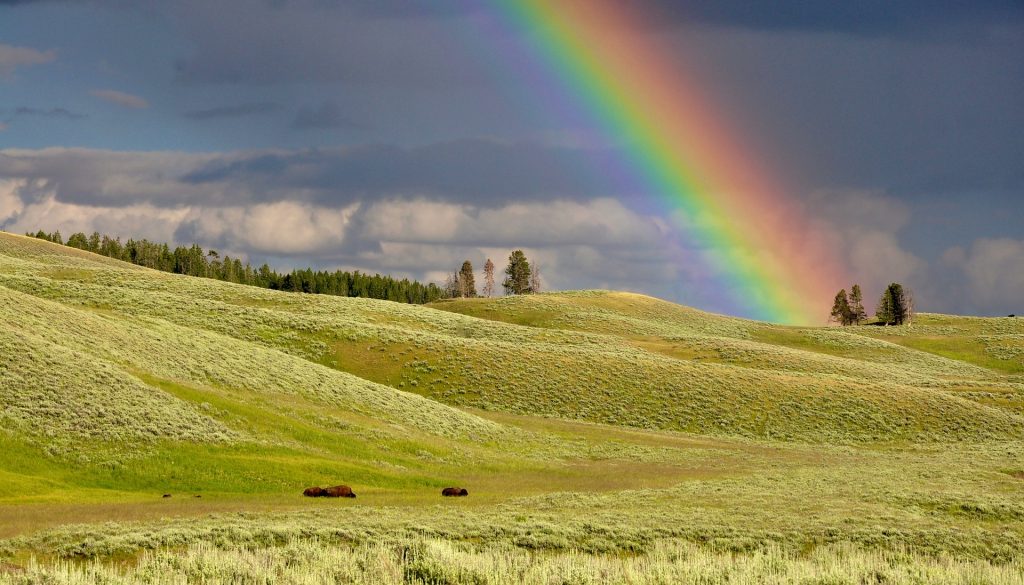 Arcobaleno - rainbow
