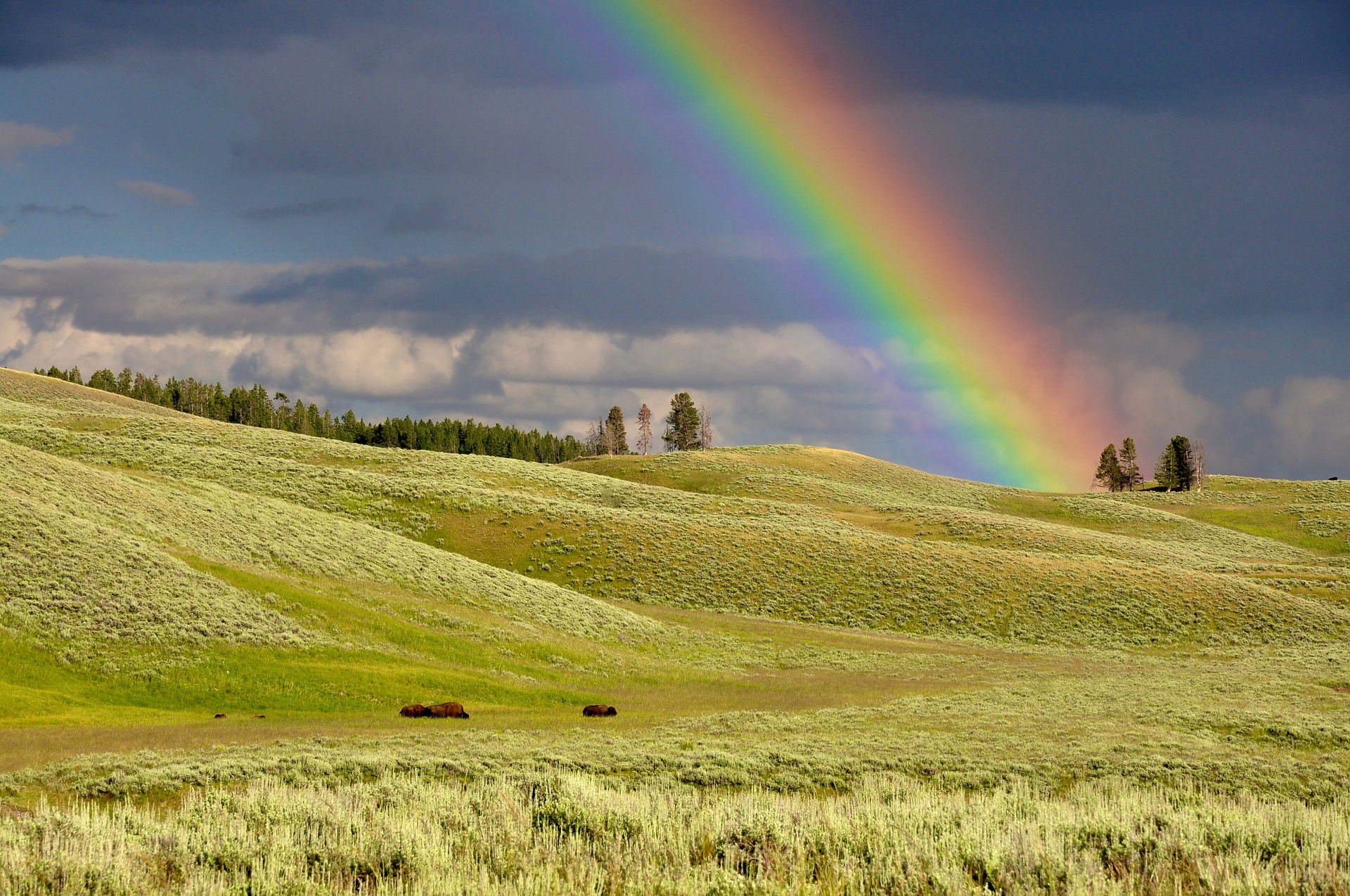 Arcobaleno - rainbow