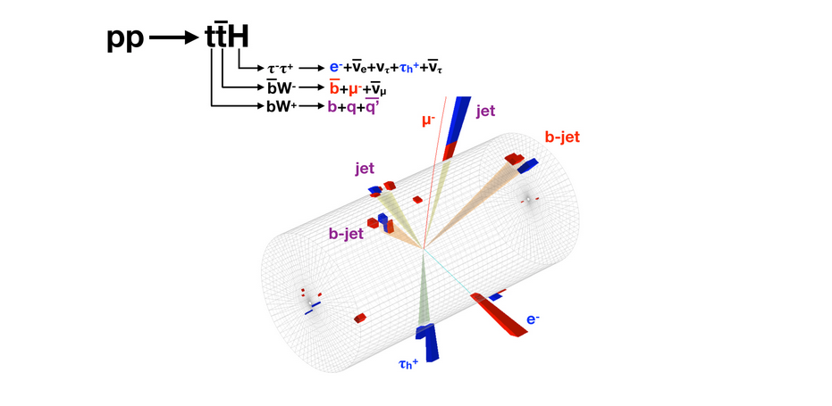 An event candidate for the production of a top quark and top anti-quark pari in conjunction with a Higgs Boson in the CMS detector. The Higgs decays into a tau+ lepton and a tau- lepton; the tau+ in turn decays into hadrons and the tau- decays in an electron. The decay product symbols are in blue. The top quark decays into three jets (sprays of lighter particles) whose names are given in purple. One of these is initiated by a b-quark. The top anti-quark decays into a muon and b-jet, whose names appear in red.